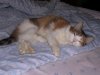 DSCN1227.JPG