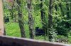 img_2859.jpg
