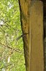img_2871.jpg