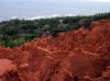 PIC_0584.jpg
