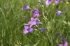 sIMG_0516.jpg