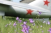 sIMG_0525.jpg