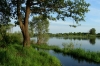 DSC00288-1.JPG